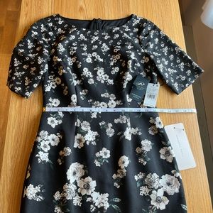 Adrianna Papell Black Ivory Dress Size 2